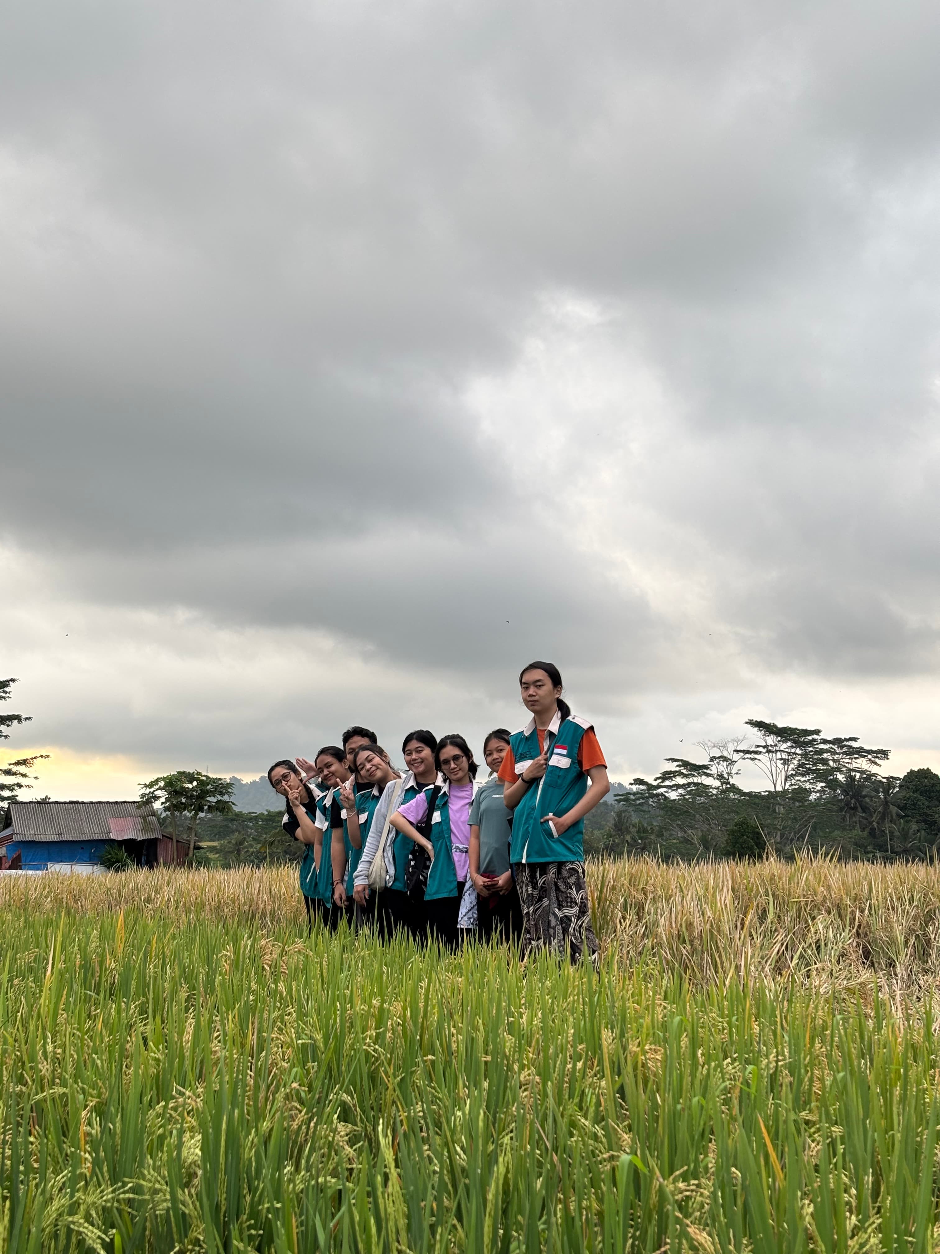 Keindahan alam dan ketenangan khas pedesaan di Sawah Carik Desa Nyanglan